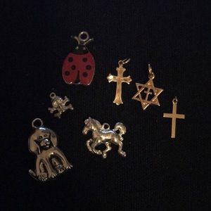 Charm lot - Cross/religious, animals and skull